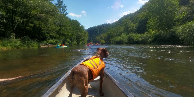 Camper submitted image from Dogwood Campground — Beavers Bend State Park