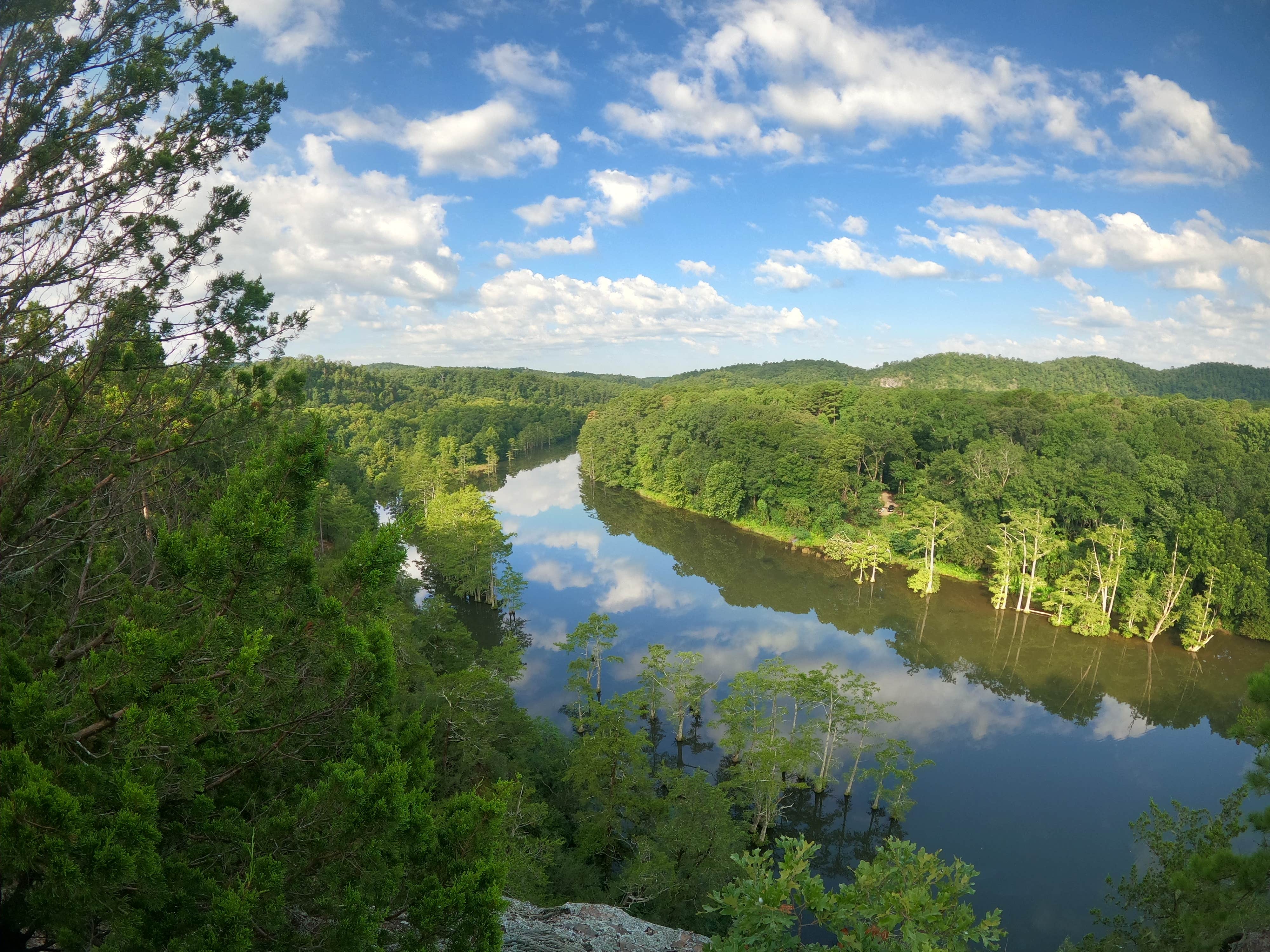 Camper submitted image from Dogwood Campground — Beavers Bend State Park - 3