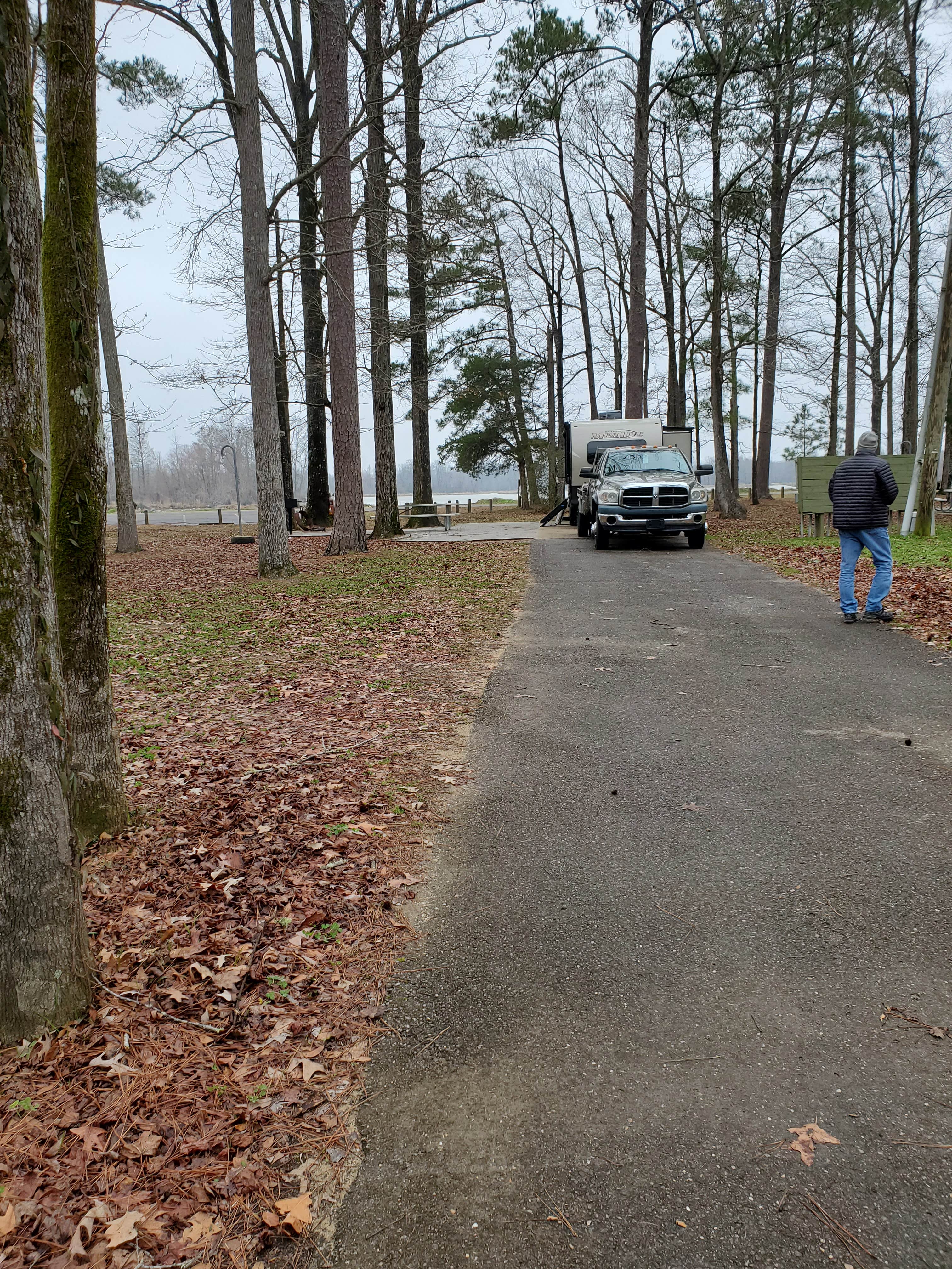 Camper submitted image from COE Black Warrior River Jennings Ferry - 1