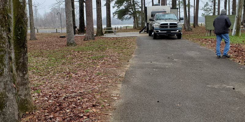 Camper submitted image from COE Black Warrior River Jennings Ferry