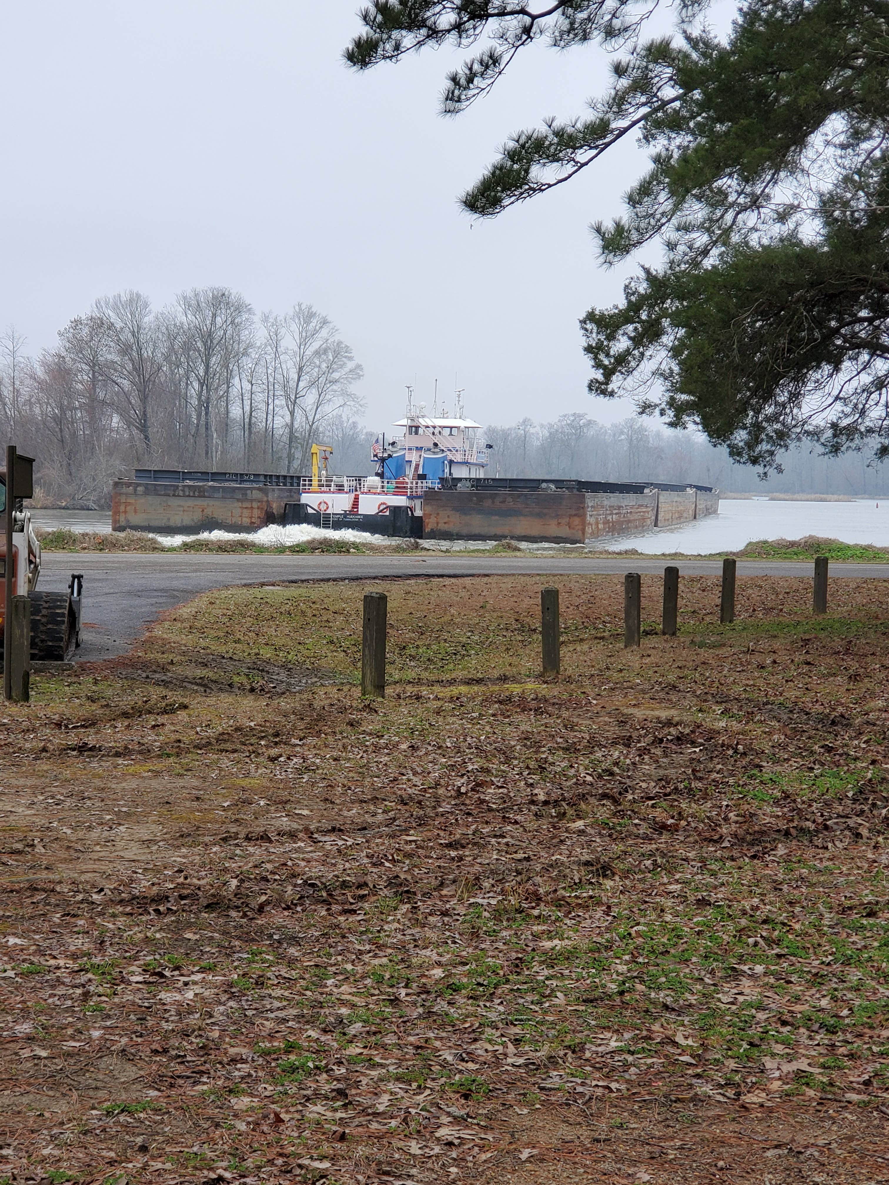 Camper submitted image from COE Black Warrior River Jennings Ferry - 2