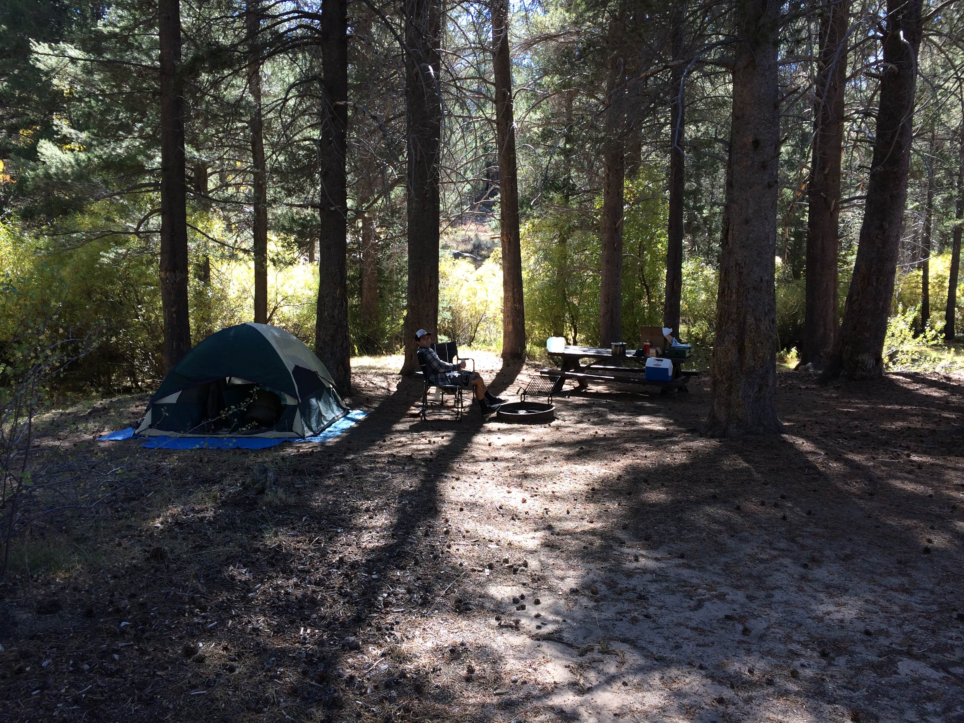 Camper submitted image from Horse Meadow Campground - 1