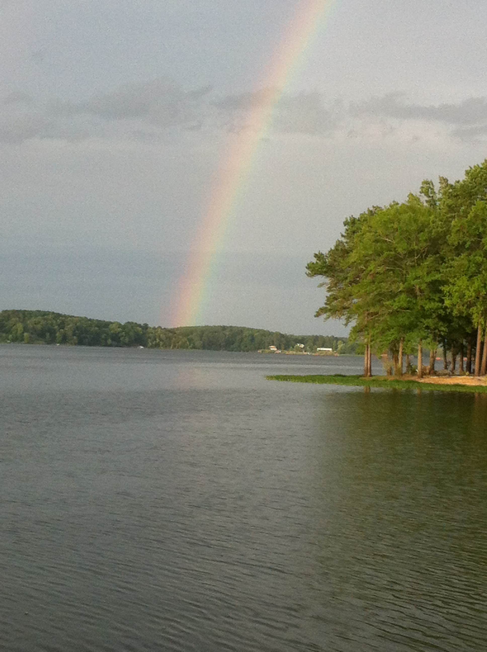 Camper submitted image from Lake Wateree State Park Campground - 3