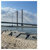 View All