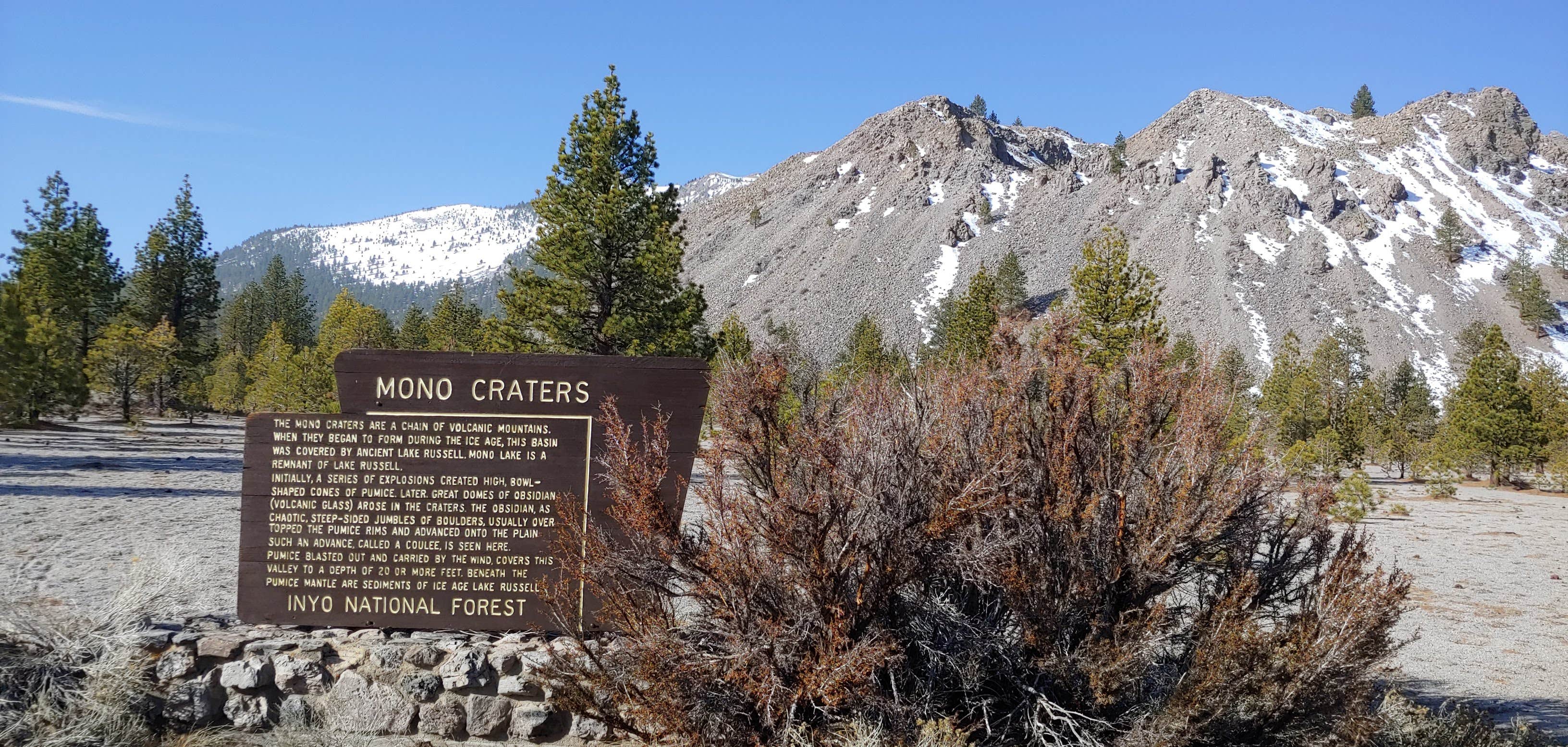 Camper submitted image from Mono Lake South Dispersed - 2