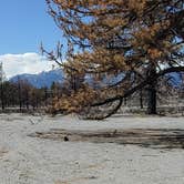 Review photo of Mono Lake South Dispersed by Laura M., April 9, 2021