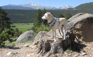 Lise F.'s photo of camping with pets at Moraine Park Campground — Rocky Mountain National Park near Rocky Mountain National Park