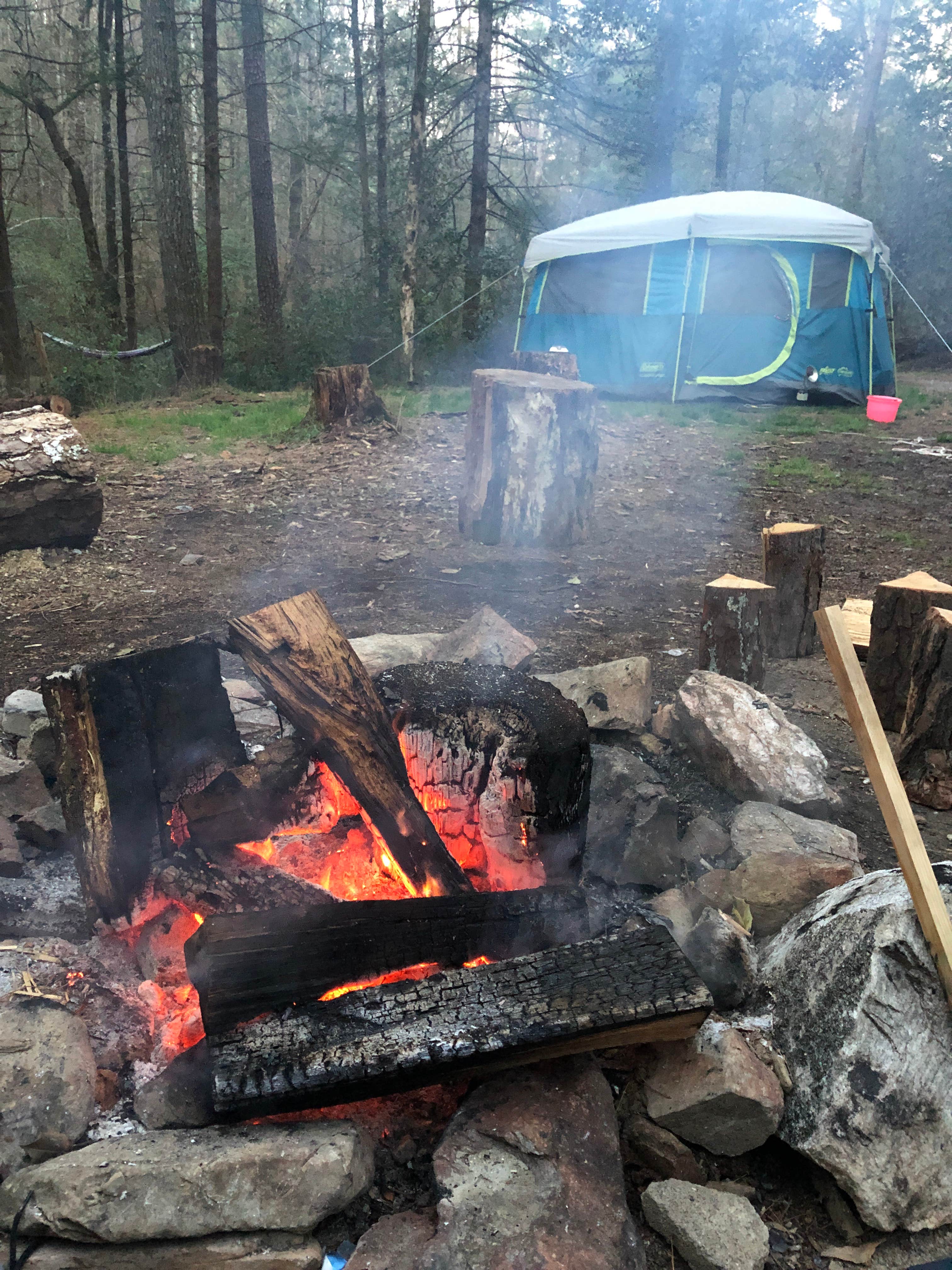 Jesse's photo of tent camping at Grapevine near Toccoa, GA