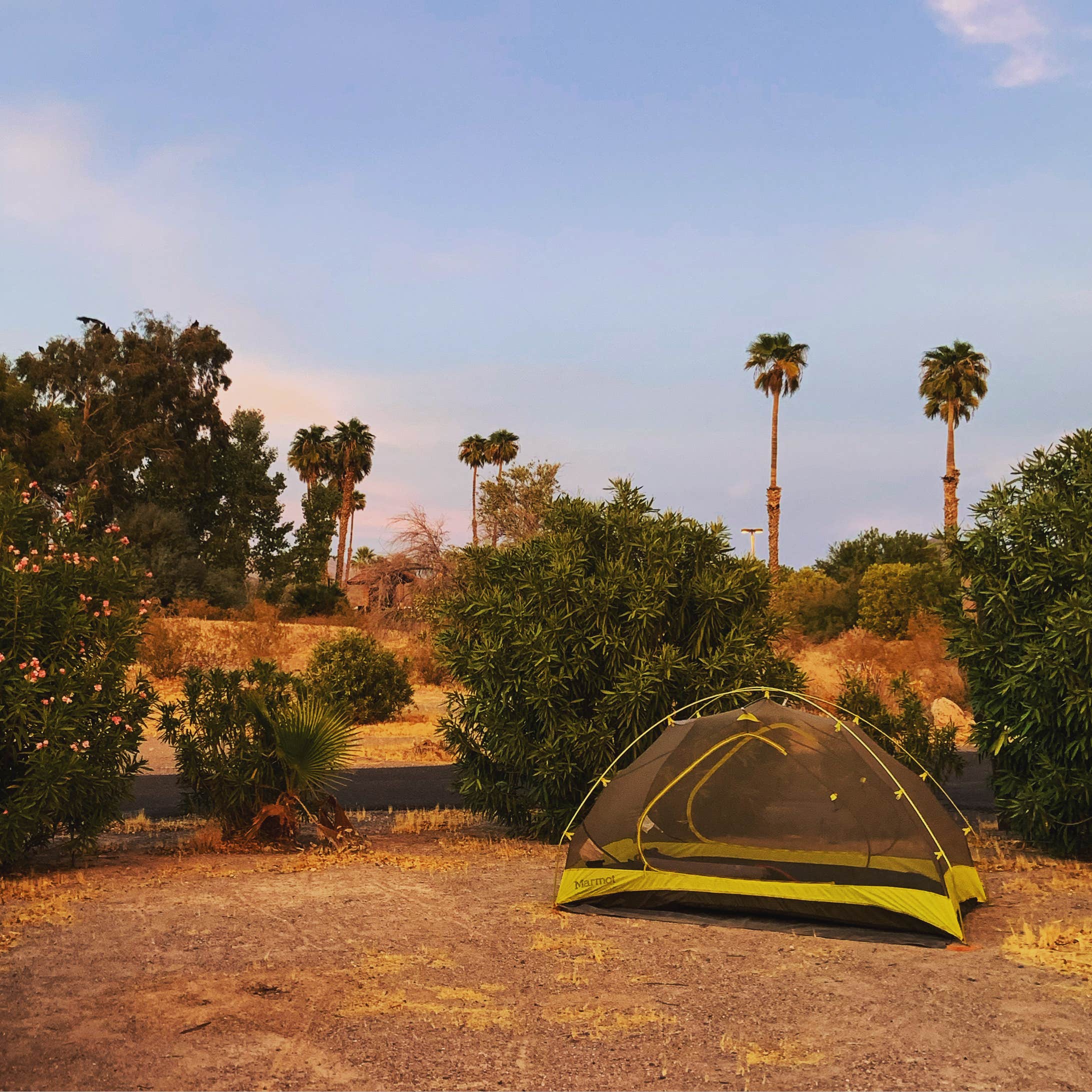 Lynn C.'s photo at Echo Bay Lower Campground — Lake Mead National Recreation Area near Meadview, AZ