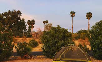 Lynn C.'s photo at Echo Bay Lower Campground — Lake Mead National Recreation Area near Meadview, AZ