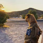 Review photo of Echo Bay Lower Campground — Lake Mead National Recreation Area by Lynn C., April 9, 2021