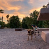 Review photo of Echo Bay Lower Campground — Lake Mead National Recreation Area by Lynn C., April 9, 2021