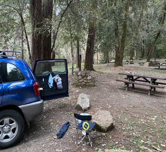 Camper-submitted photo from Pearch Creek Campground