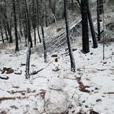 Review photo of Chiricahua Mountains by Tanner H., April 9, 2021