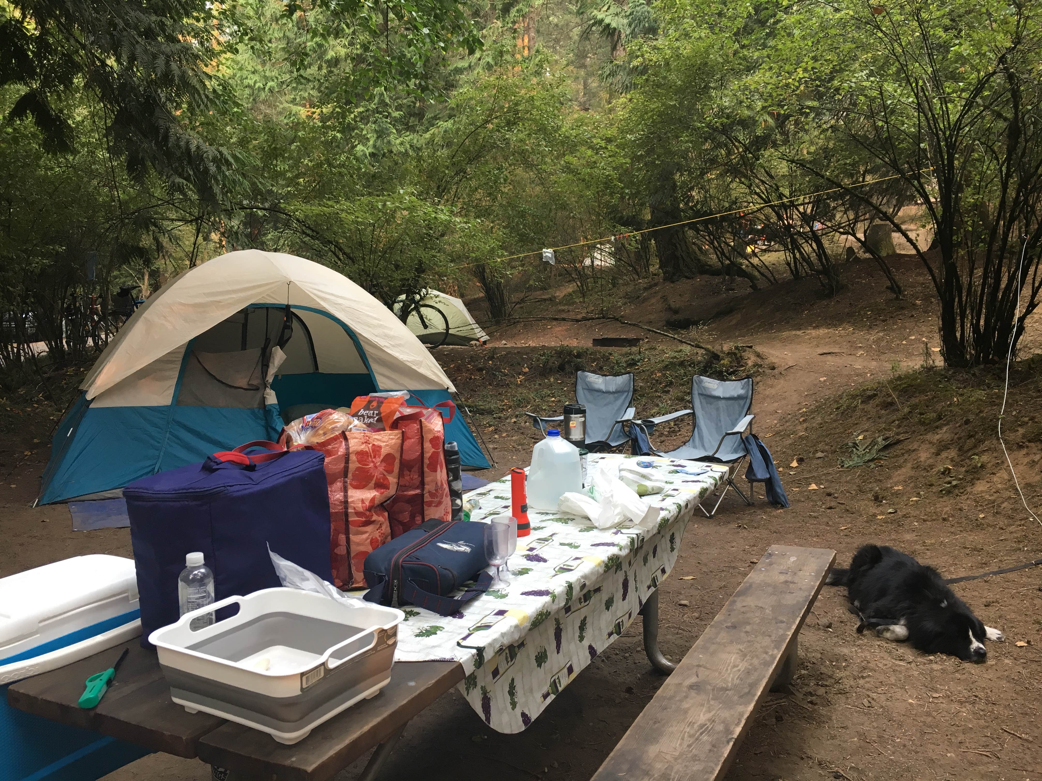 Camper submitted image from Northend Campground — Moran State Park - 1