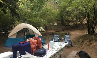 Camping near Doe Bay Resort & Retreat: Northend Campground — Moran State Park, Olga, Washington