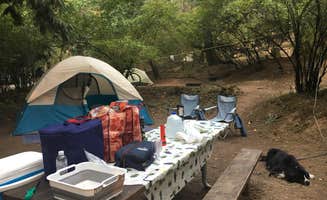 Lise F.'s photo at Northend Campground — Moran State Park near Blaine, WA