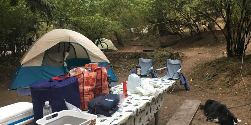 Camper submitted image from Northend Campground — Moran State Park