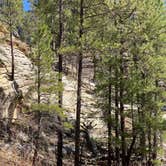Review photo of Pumphouse Wash (FR 237) Dispersed Camping Area by Linda S., April 9, 2021