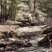 Review photo of Pumphouse Wash (FR 237) Dispersed Camping Area by Linda S., April 9, 2021