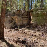 Review photo of Pumphouse Wash (FR 237) Dispersed Camping Area by Linda S., April 9, 2021