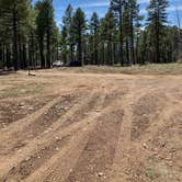 Review photo of Pumphouse Wash (FR 237) Dispersed Camping Area by Linda S., April 9, 2021