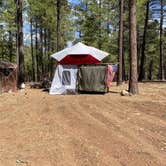 Review photo of Pumphouse Wash (FR 237) Dispersed Camping Area by Linda S., April 9, 2021