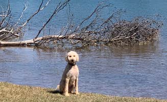 Joseph C.'s photo of camping with pets at Bald Ridge Creek near Cumming, GA