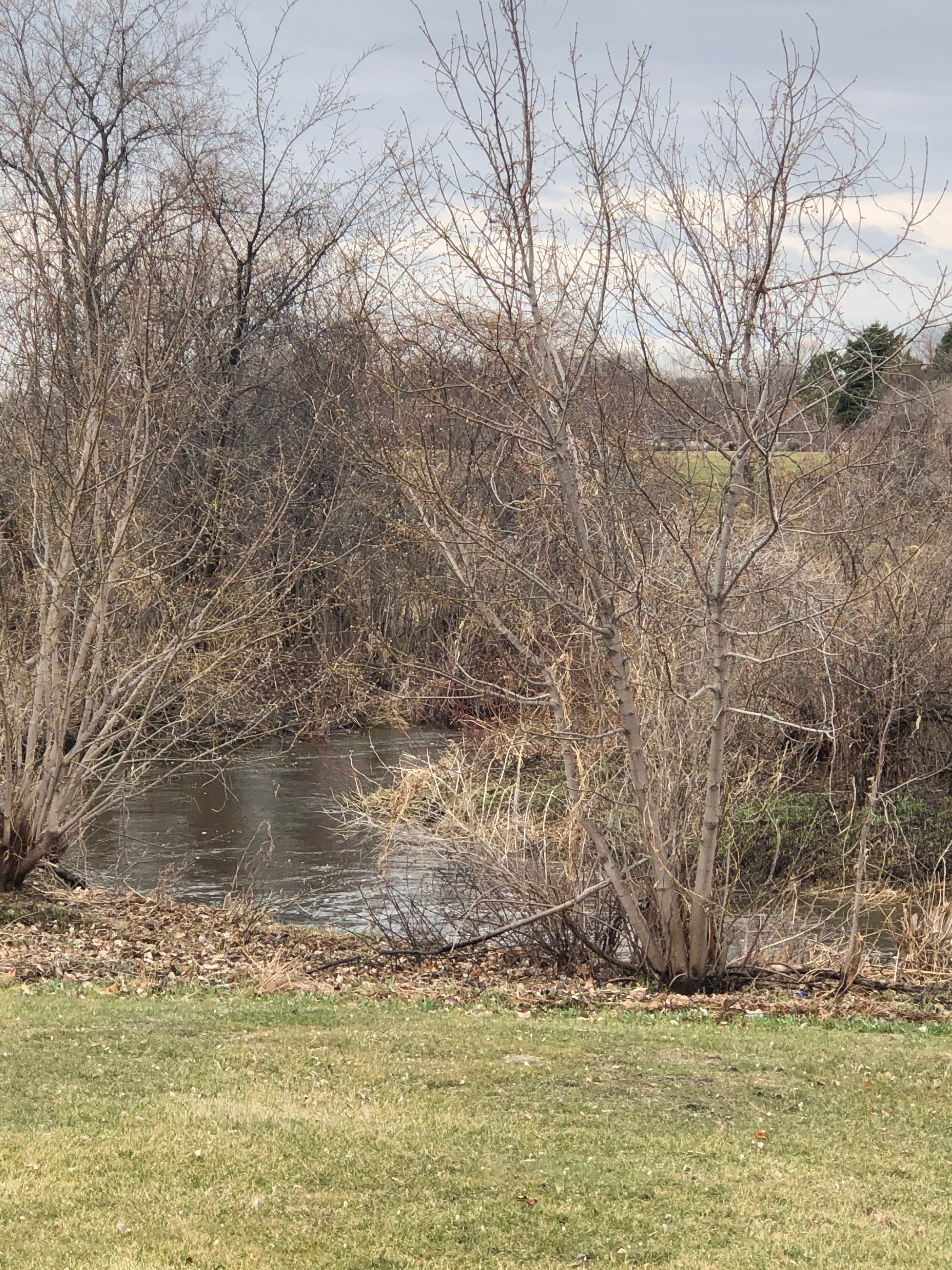 Camper-submitted photo at Wagner Park near West Fargo, ND
