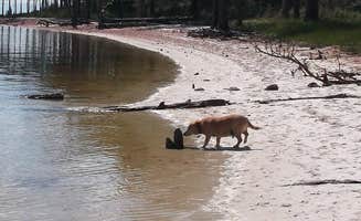 Paula C.'s photo of camping with pets at Ho-Hum RV Park near Port St. Joe, FL