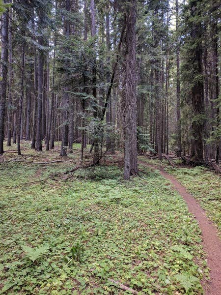 Camper submitted image from Jubilee Lake Campground (Or) — Umatilla National Forest - 2