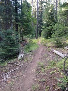 Camper submitted image from Jubilee Lake Campground (Or) — Umatilla National Forest - 2