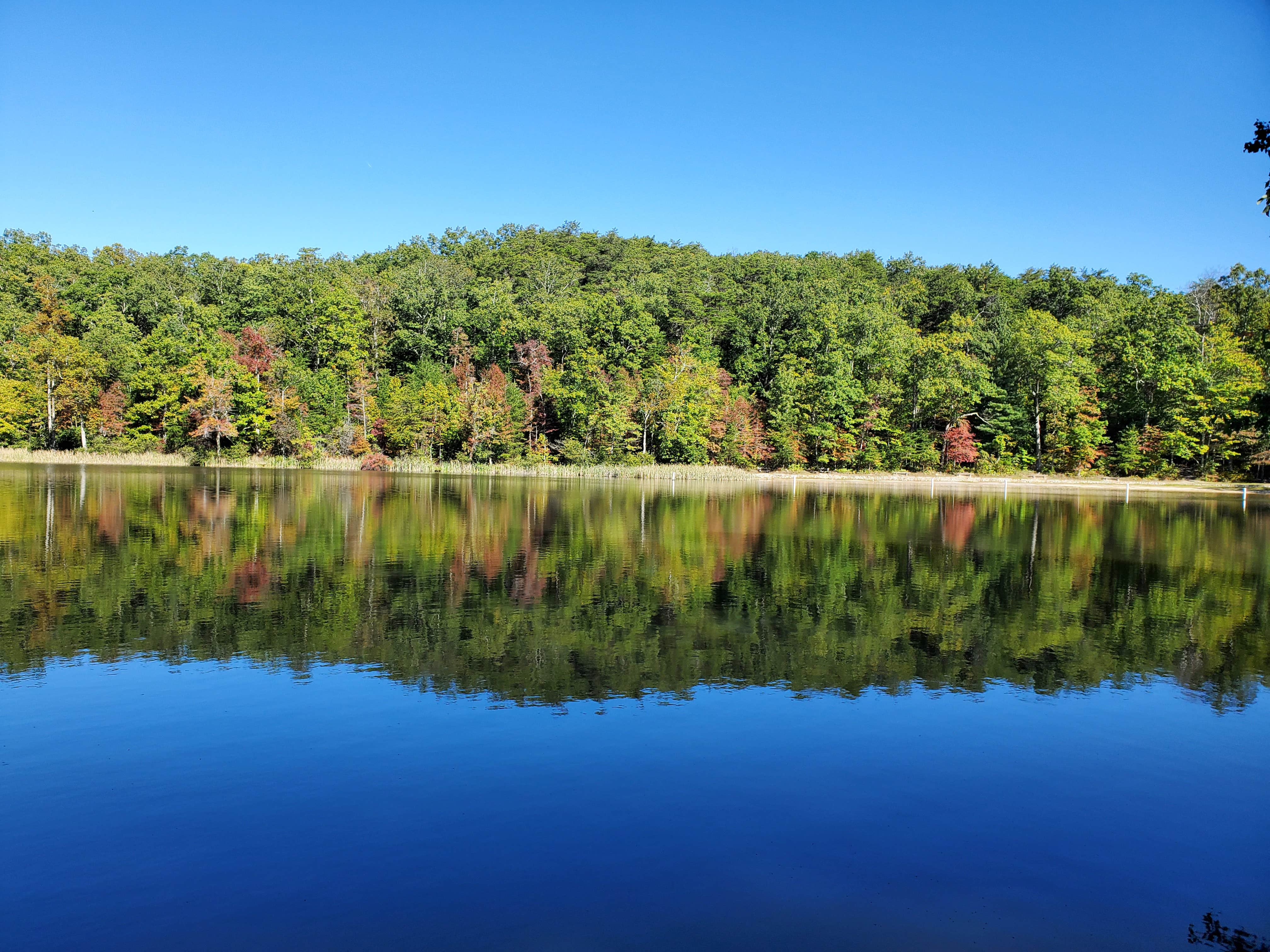 Chilhowee Campground The Dyrt