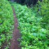 Review photo of Jubilee Lake Campground (Or) — Umatilla National Forest by Julie P., May 31, 2018