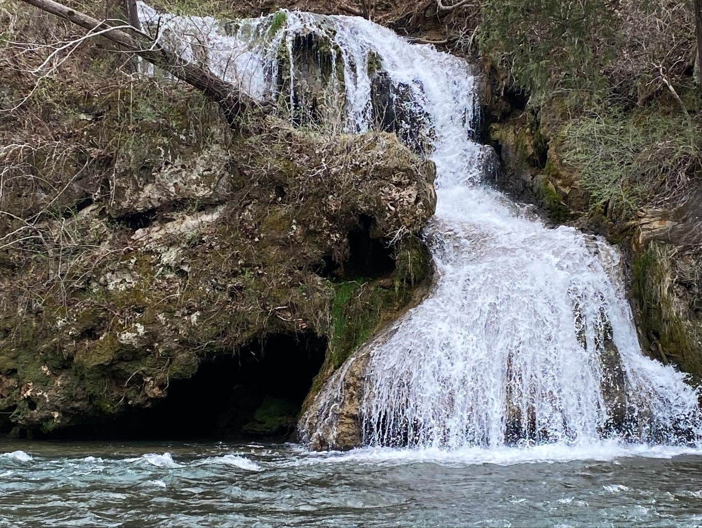 View All