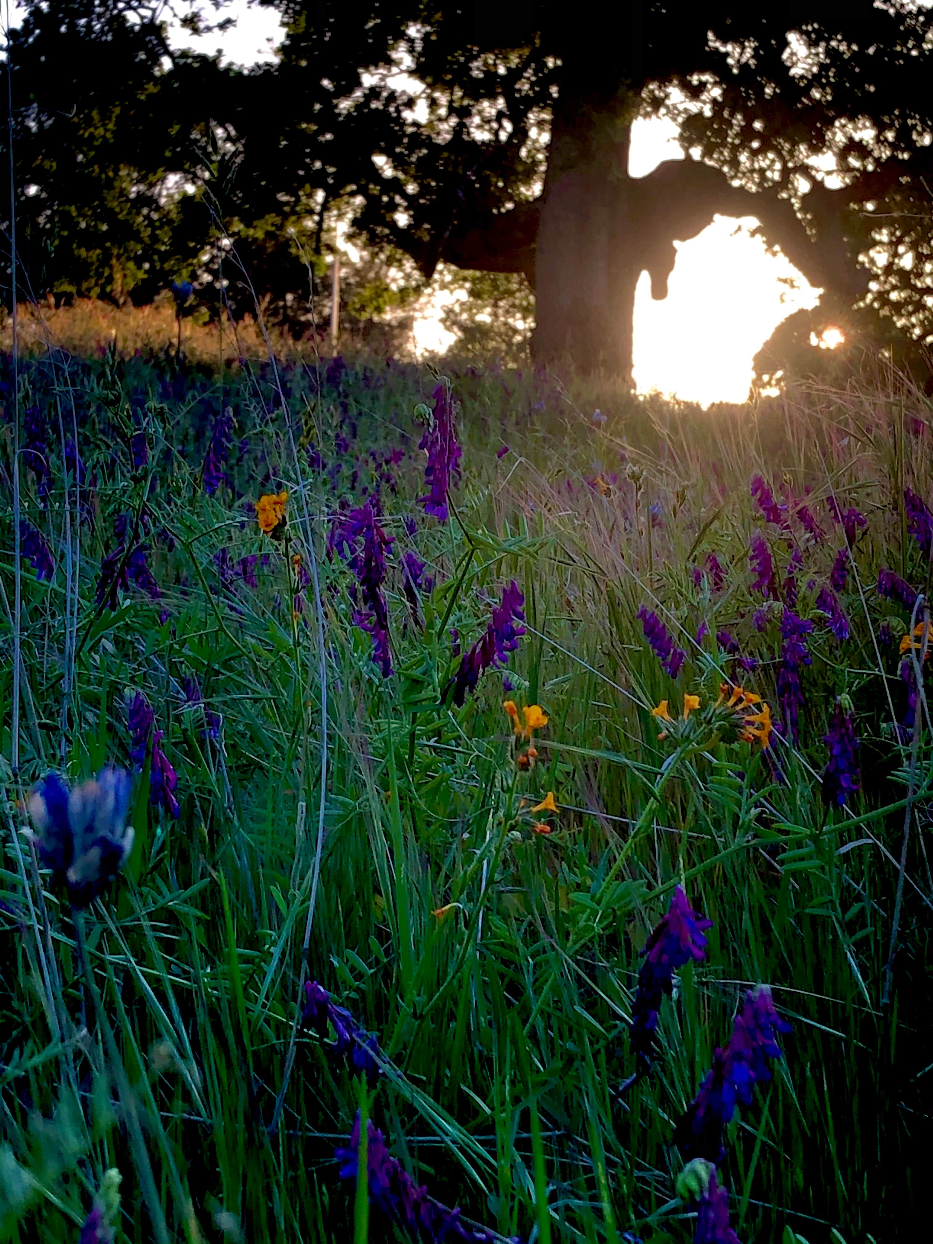 Camper-submitted photo at Blue Oaks Campground near La Grange, CA