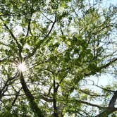 Review photo of McKinney Falls State Park Campground by Daniel L., April 10, 2021