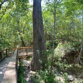 Review photo of McKinney Falls State Park Campground by Daniel L., April 10, 2021