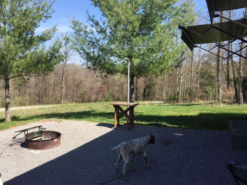 MickandKarla W.'s photo of camping with pets at Natural Tunnel State Park Campground near Lynch, KY