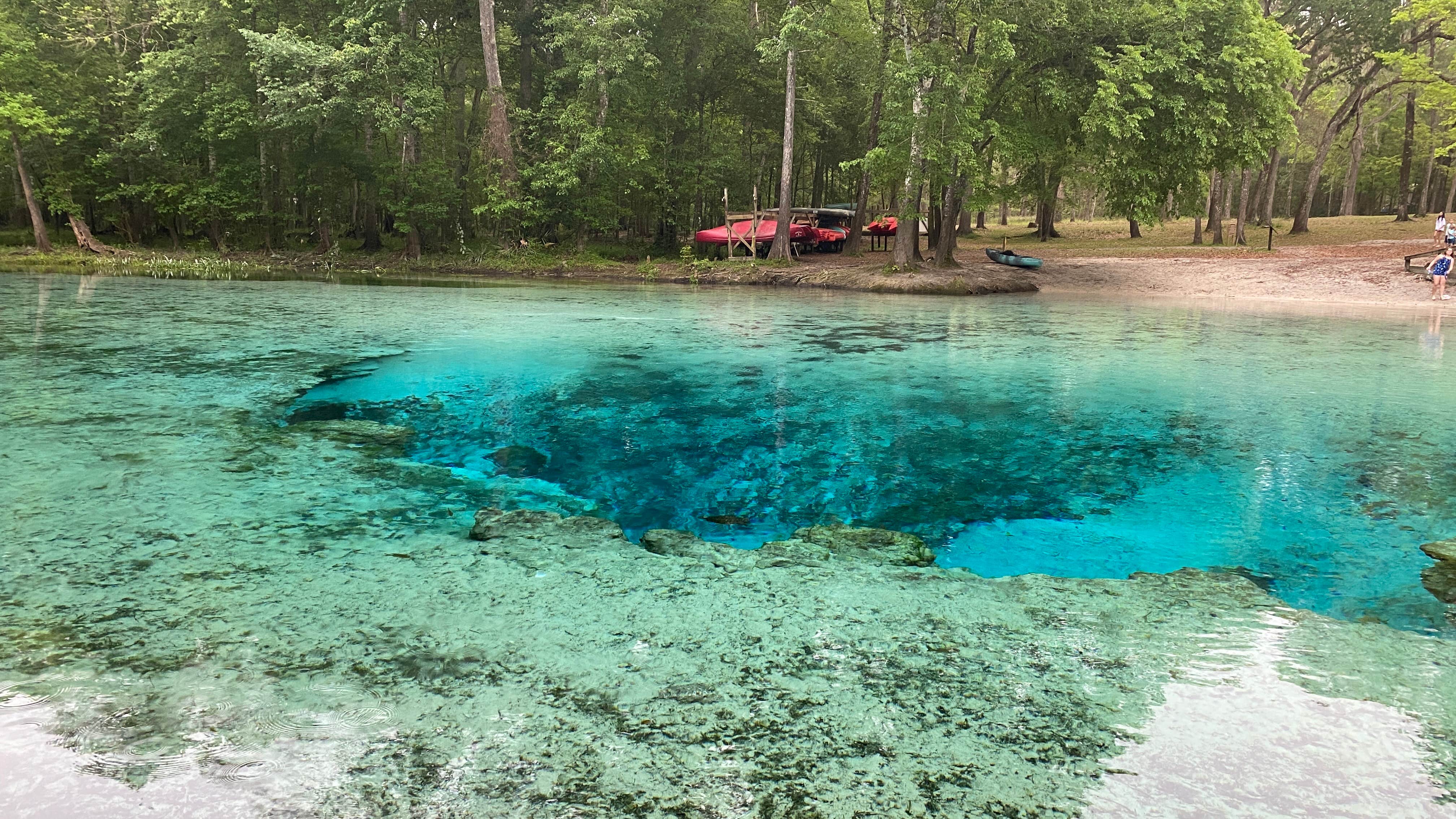 Gilchrist Blue Springs State Park | The Dyrt