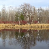 Review photo of Big Bog State Recreation Area by MARY K., April 10, 2021