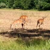 Review photo of Wayne Fitzgerrell State Park Campground by Joel R., April 10, 2021