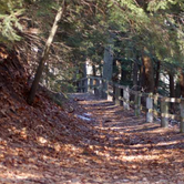 Review photo of Hoffmaster State Park Campground by Becky P., May 31, 2018