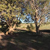 Review photo of Kaibab National Forest by Stoney P., April 10, 2021