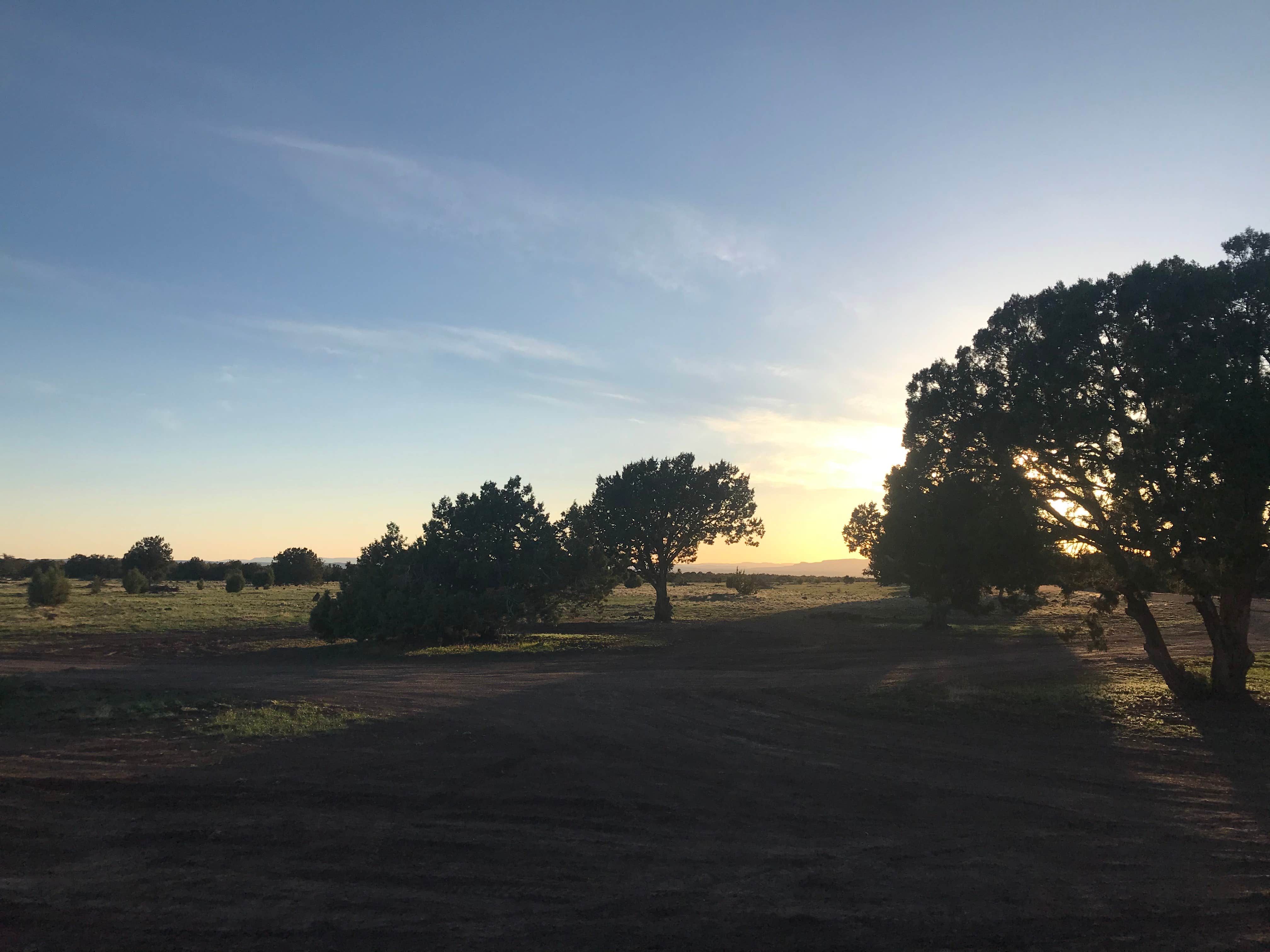 Stoney P.'s photo of a dispersed camping area at Kaibab National Forest near Kaibab National Forest