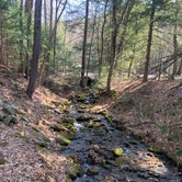 Review photo of Lower Campground — Kettle Creek State Park by Cassia  M., April 10, 2021
