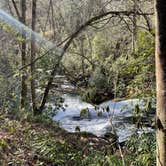 Review photo of Smokemont Campground — Great Smoky Mountains National Park by maria I., April 10, 2021