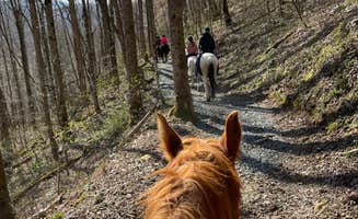 maria I.'s photo of camping with a horse at Smokemont Campground — Great Smoky Mountains National Park near Alcoa, TN