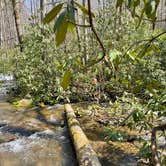 Review photo of Smokemont Campground — Great Smoky Mountains National Park by maria I., April 10, 2021