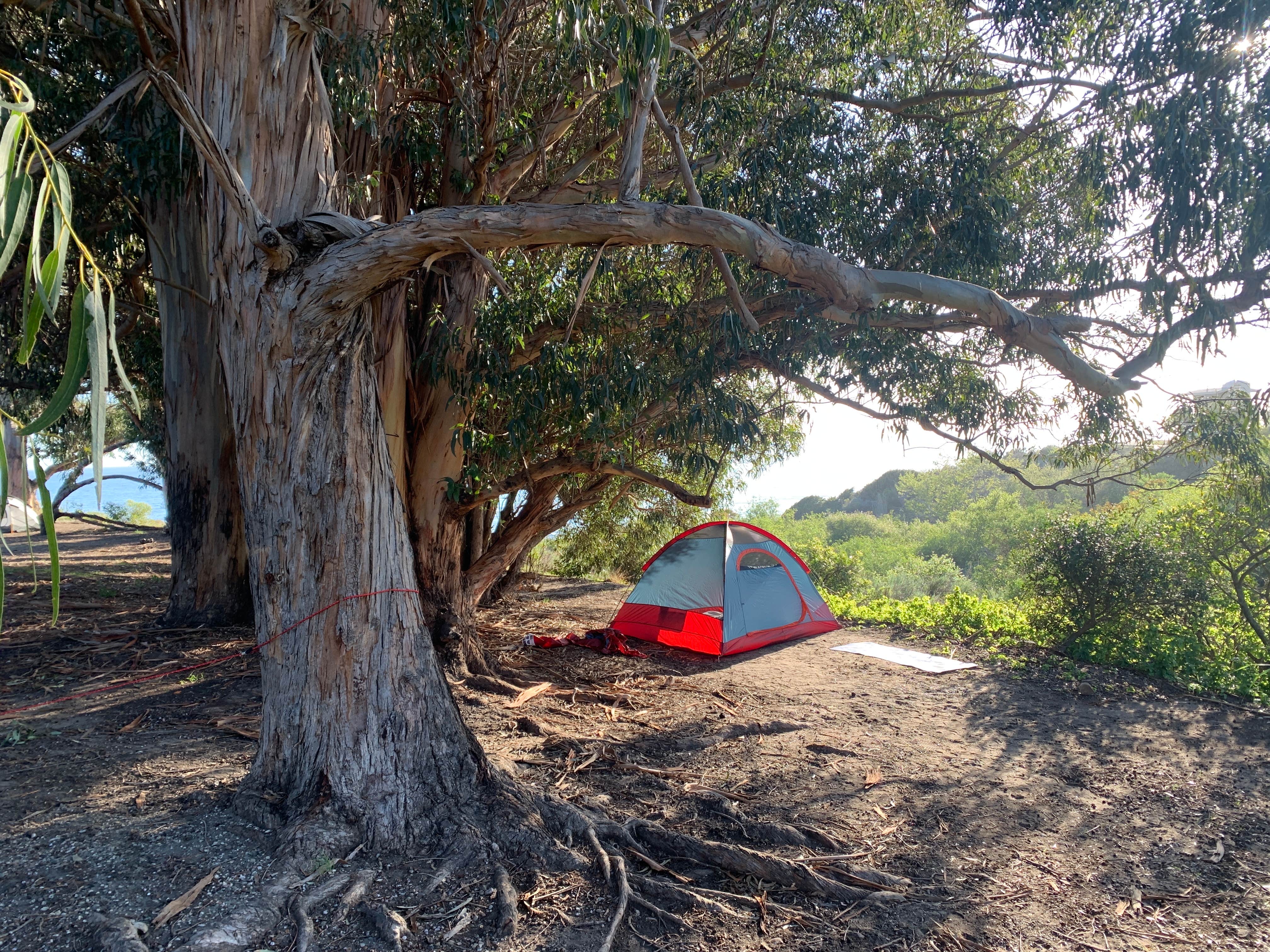 Camper submitted image from El Capitán State Beach Campground - 1